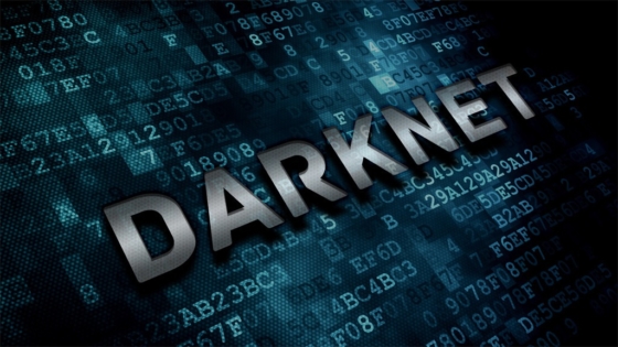 Security differences between regular darknet trading and carding