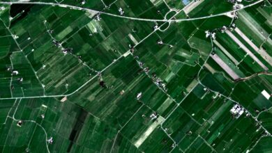CloudFerro opracowuje projekt satelitarnego monitoringu upraw