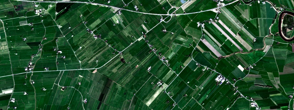 CloudFerro opracowuje projekt satelitarnego monitoringu upraw