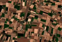 CloudFerro realizuje innowacyjny projekt satelitarnego monitoringu upraw