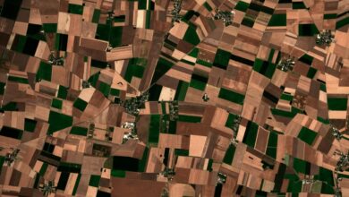 CloudFerro realizuje innowacyjny projekt satelitarnego monitoringu upraw