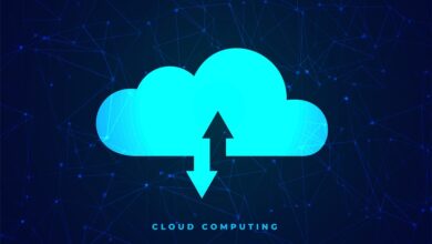 Chmura Krajowa: przyszłością IT są  usługi zarządzane w chmurze