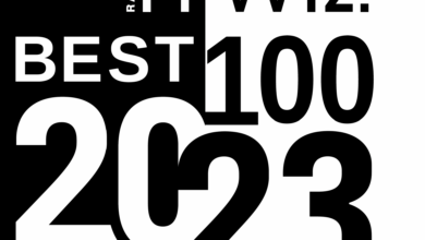 Biggest IT companies in Poland in 2022 &#8211; results of ITwiz Best100 ranking. Article in English