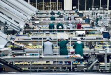 Polska wśr&oacute;d lider&oacute;w potencjału automatyzacji pracy w Europie. 61% roboczogodzin do zmiany
