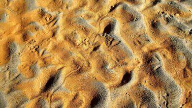 Jak się sprawdzają wirtualne piaskownice?