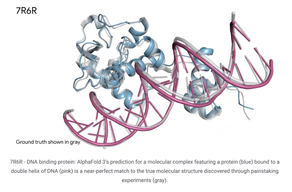 AlphaFold 3 ma przewidywać strukturę i interakcje wszystkich cząsteczek życia