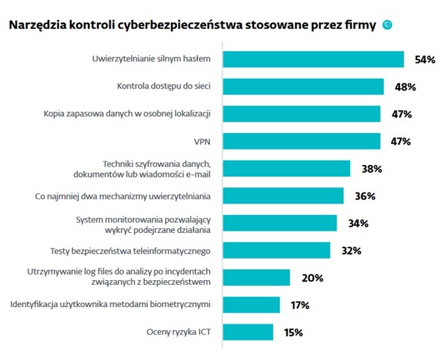 Jak wygląda cyberportret polskiego biznesu?