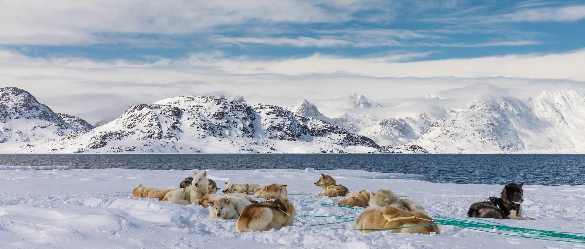 Spór o Grenlandię spowoduje ograniczenie dostępu BigTech’ów do rynku UE?