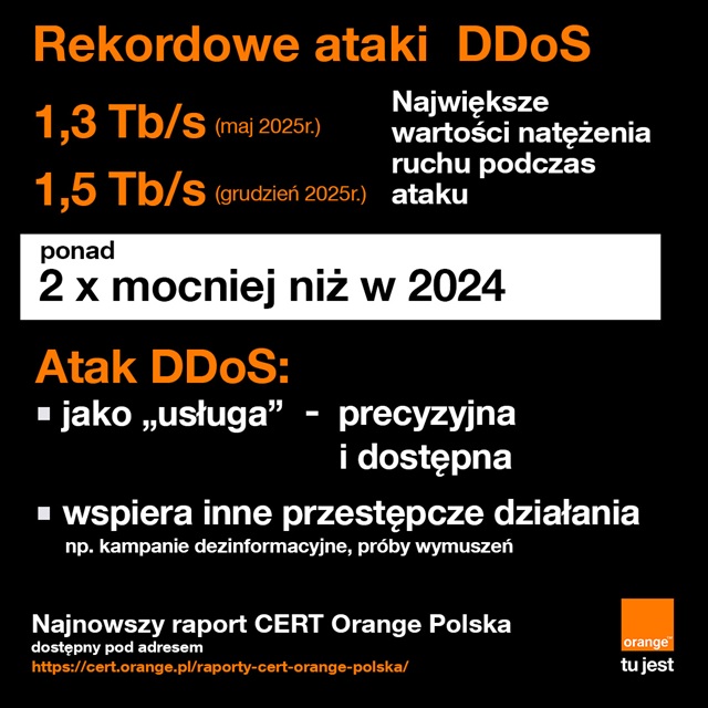 Fałszywe inwestycje napędzają phishing – 345 tys. domen w rok