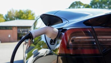 Jak wdrożyć elektromobilność w firmie?