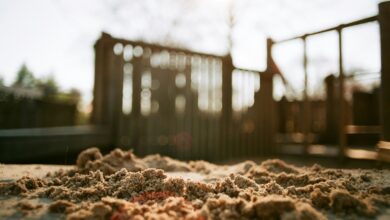 35 mln zł na rozw&oacute;j polskiej piaskownicy AI. Rusza nab&oacute;r