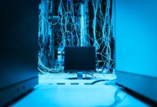 Zapobiegać i leczyć. CERT Polska uruchomił nowy portal cybersec oraz moduł o podatnościach