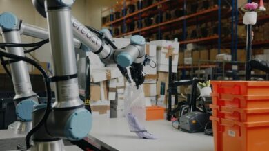 Polska na mapie robotycznej rewolucji w e-commerce