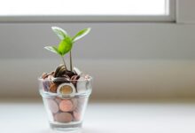 Polskie startupy zebrały ponad 5 mld zł. Ale dwie firmy odpowiadają za 74% tej kwoty