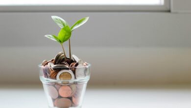 Polskie startupy zebrały ponad 5 mld zł. Ale dwie firmy odpowiadają za 74% tej kwoty